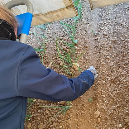 Photo de Ferme Bailliet SCEA