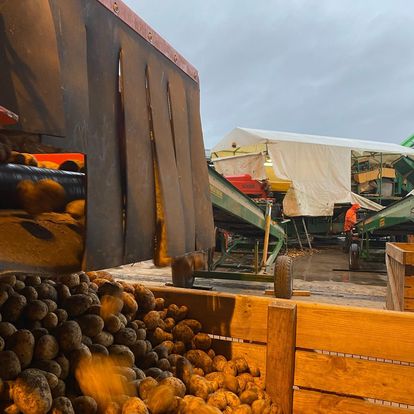 Photo de Ferme Bailliet SCEA