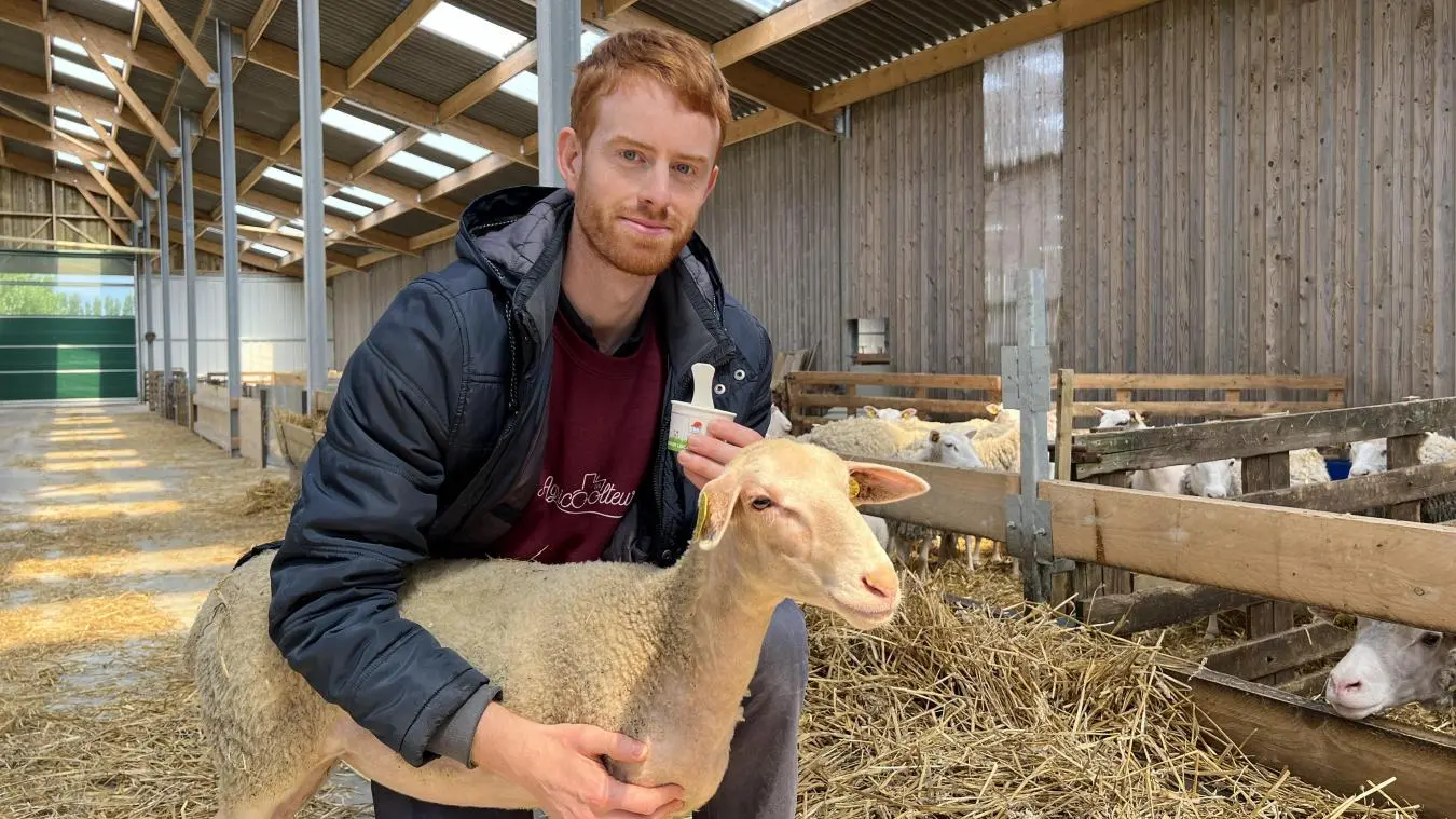 Illustration de l’exploitation La Ferme de l'Haezepoël