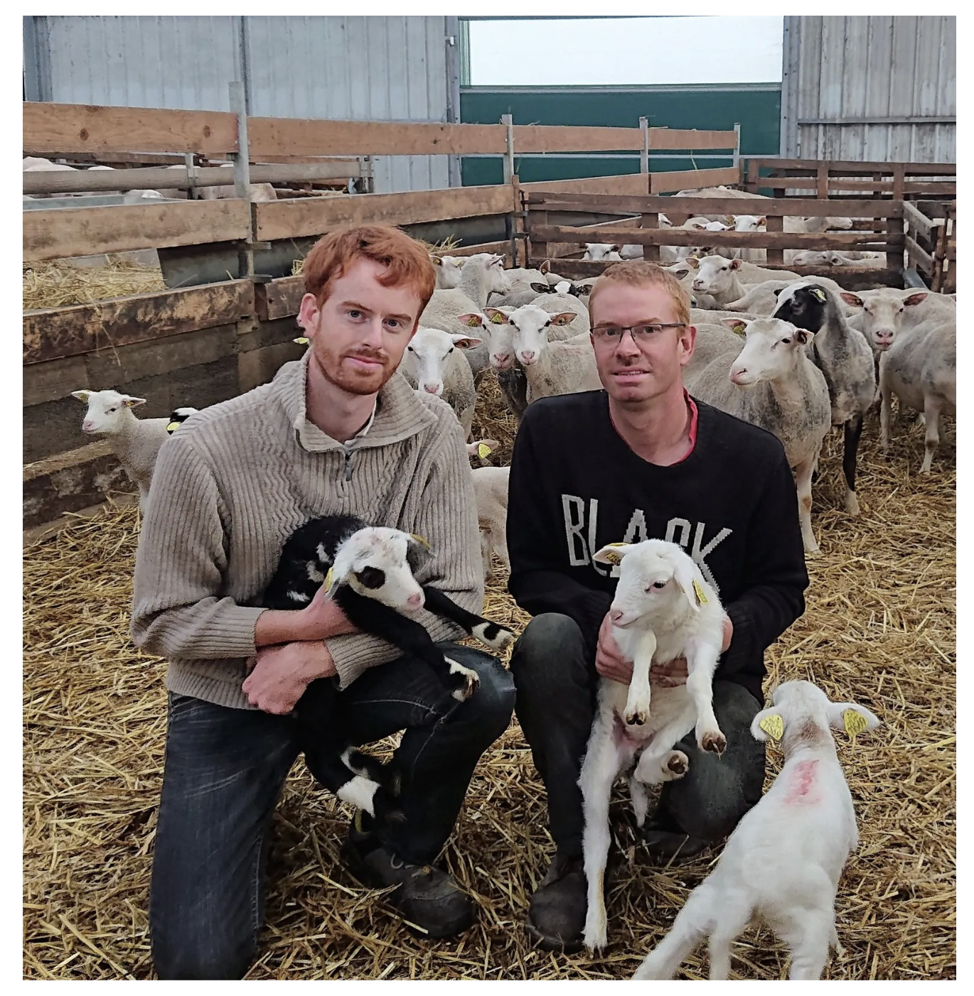 Photo de La Ferme de l'Haezepoël