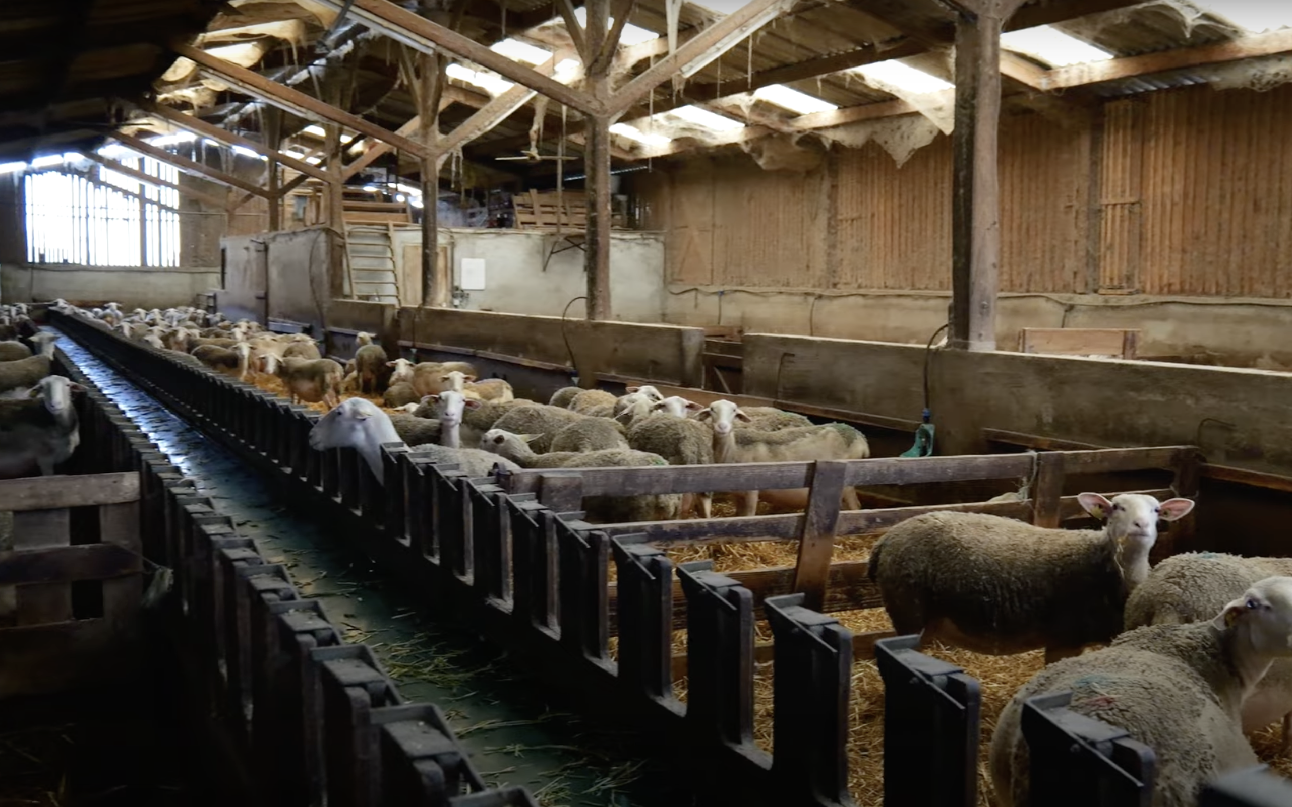 Photo de Gaec ferme du Castérieu 