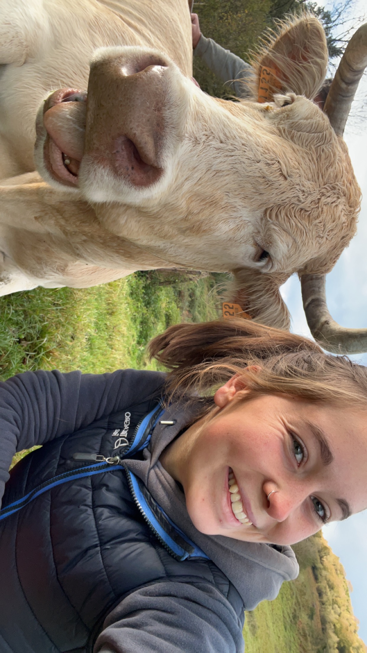 Photo de Ferme Salthun - Argui’Bêl