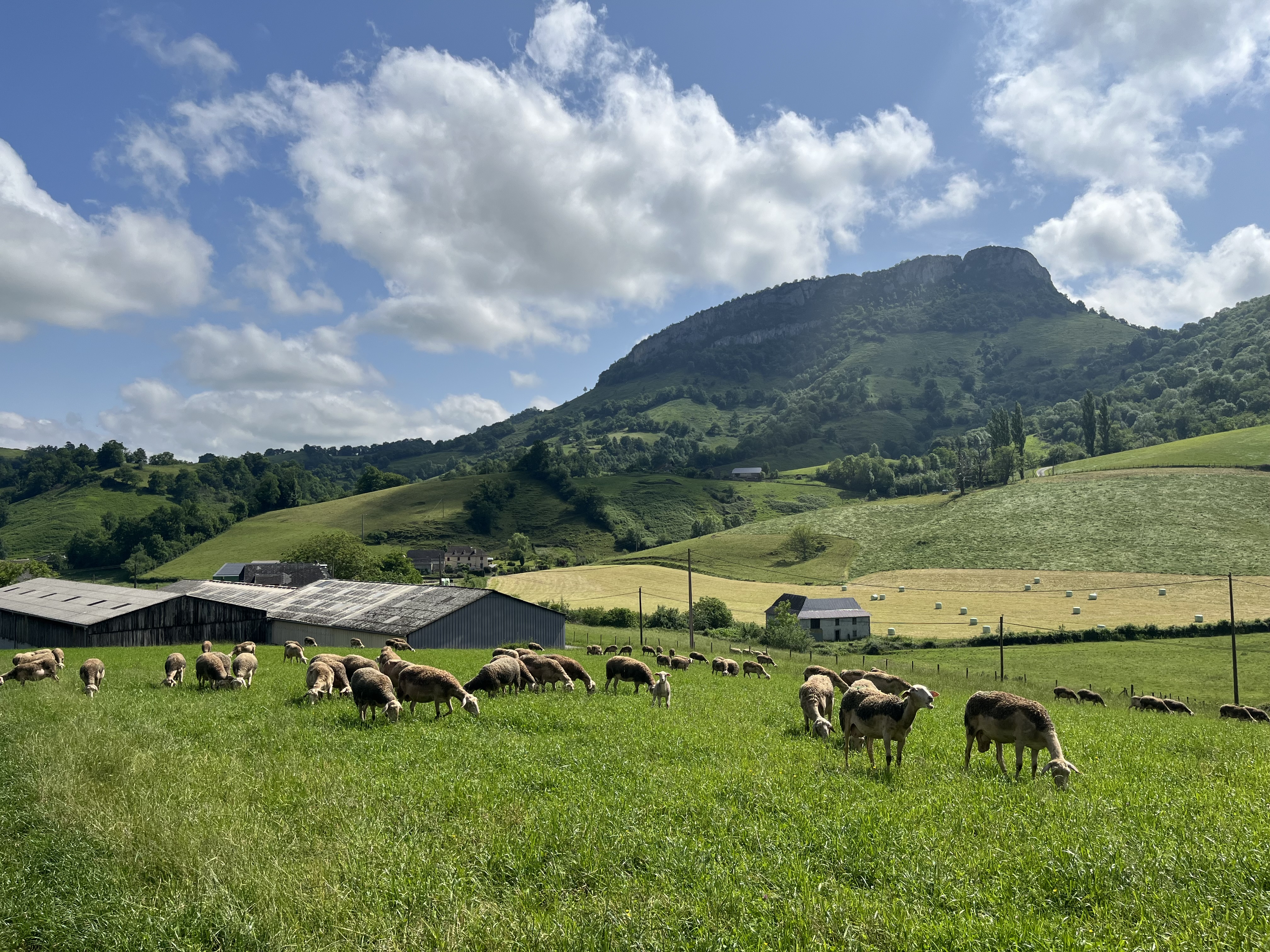Illustration de l’exploitation Ferme Salthun - Argui’Bêl