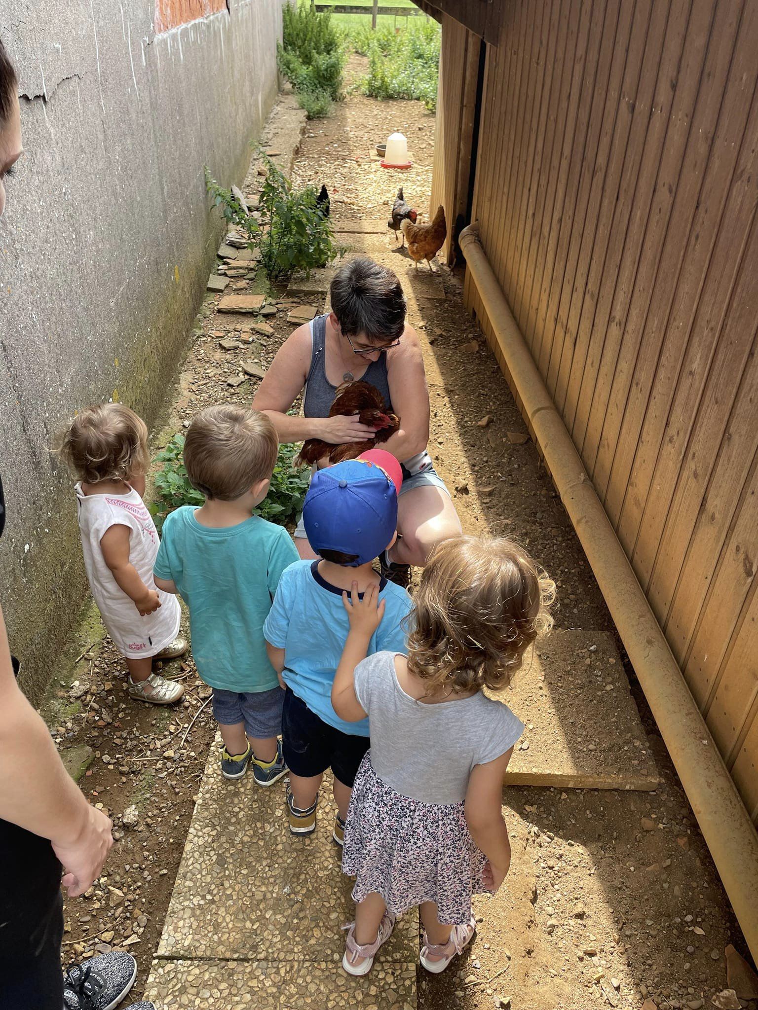 Illustration de l’expérience Visite de le ferme