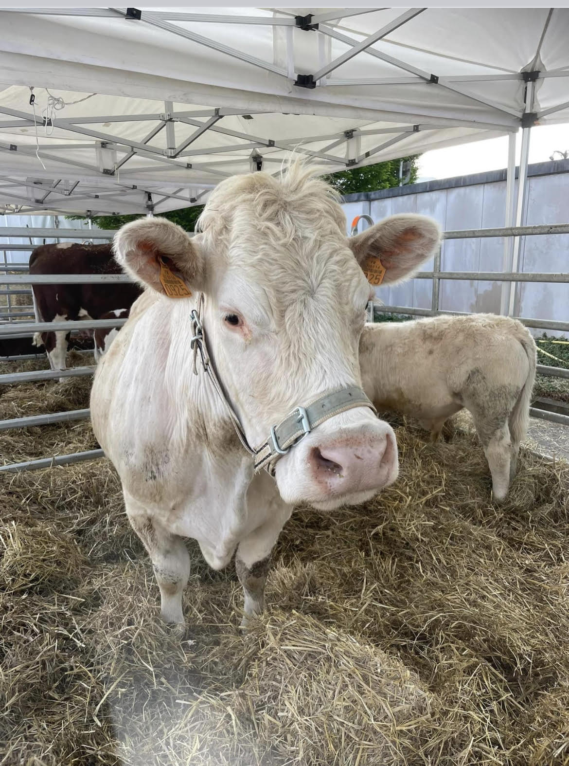 Photo de Vente directe à la Ferme