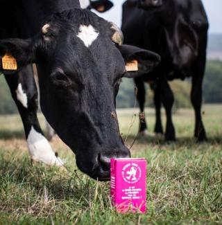 Illustration de l’expérience Visite complète de l'exploitation : pâtes et élevage 