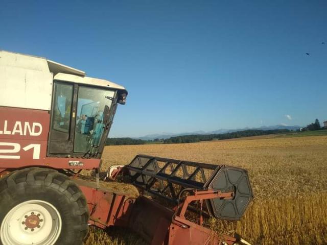 Photo de Visite complète de l'exploitation : pâtes et élevage 