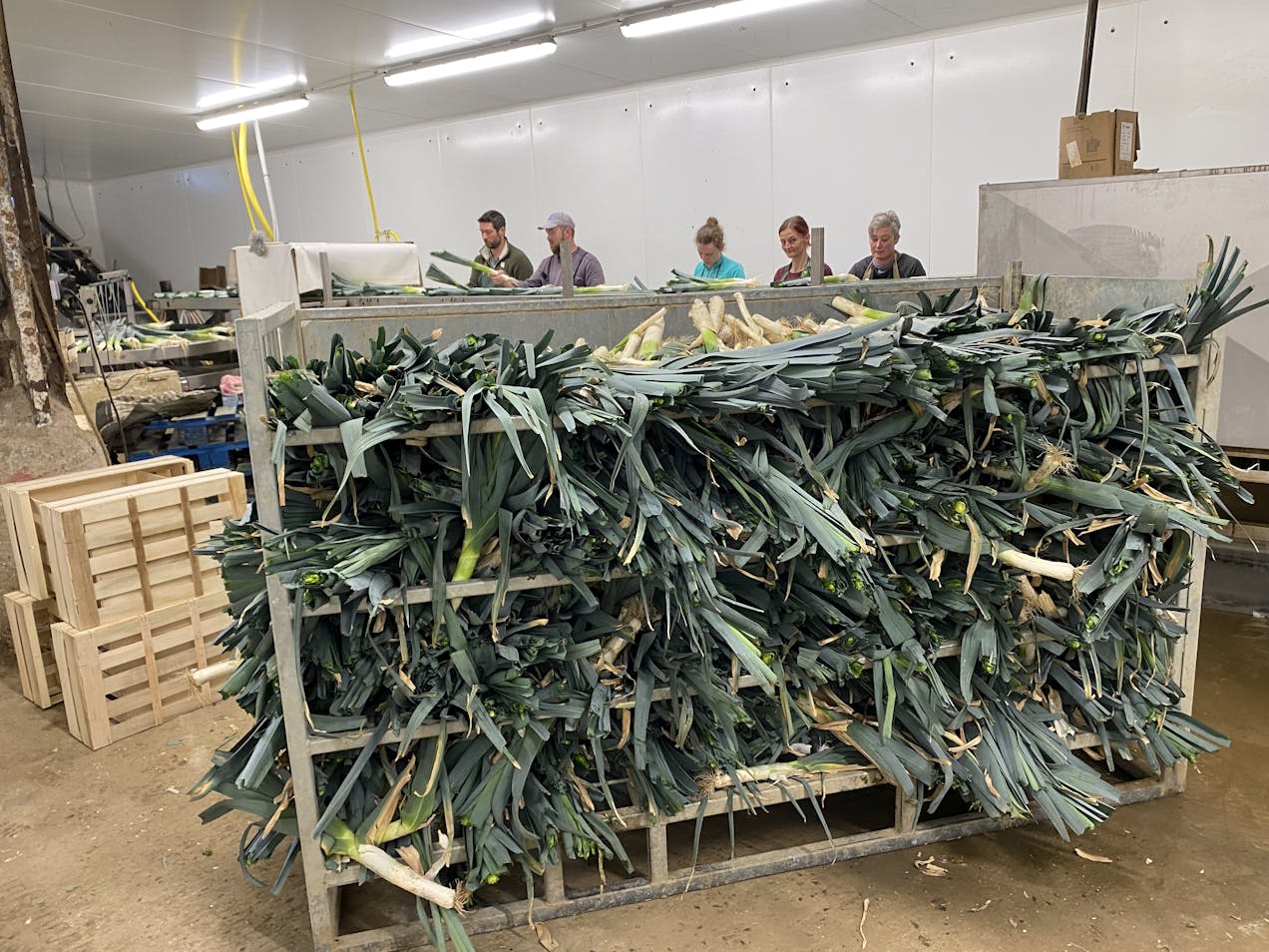 Photo de Ferme de Thierry à Loos 