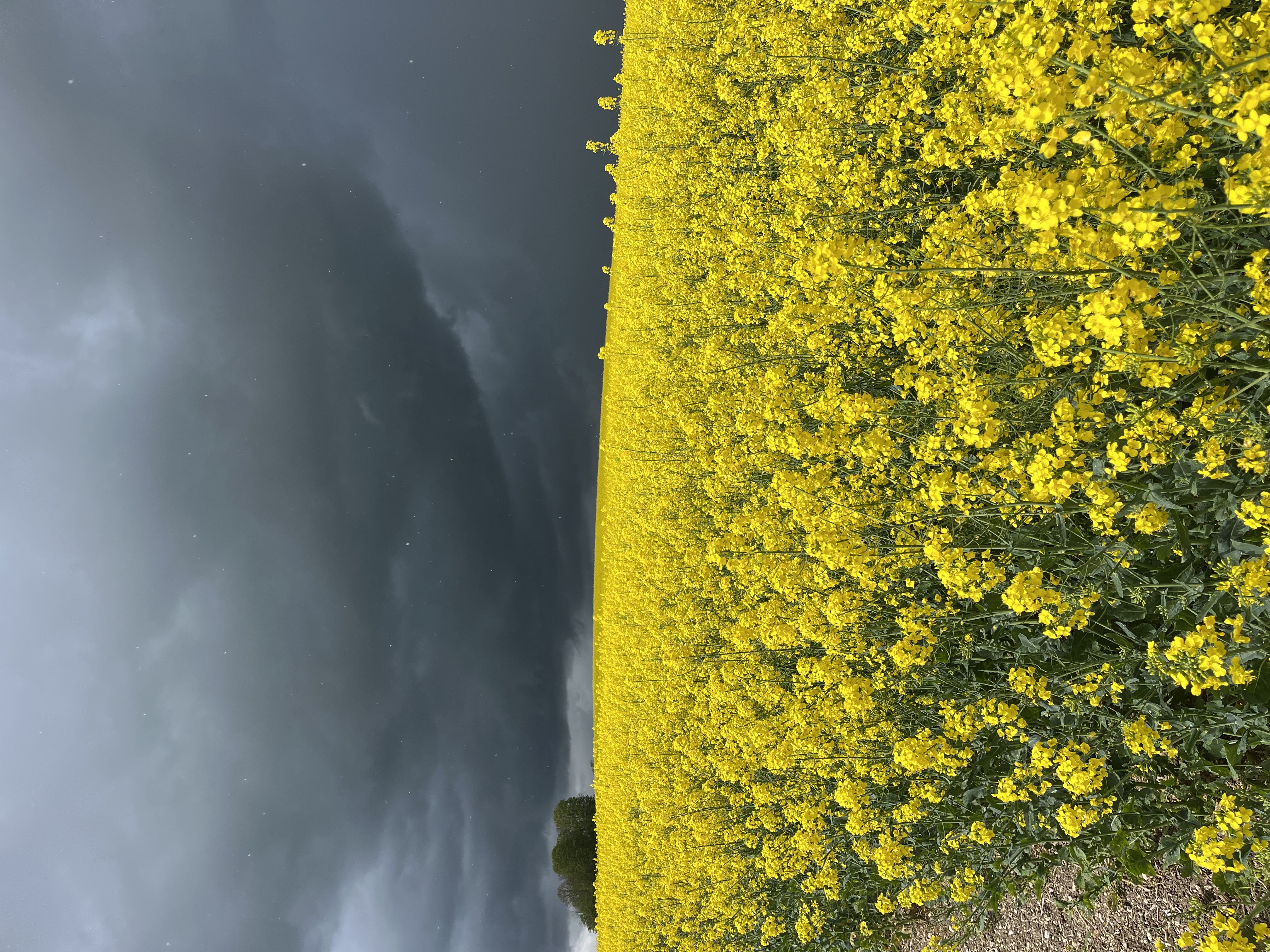 Illustration de l’expérience Après-midi découverte de l'exploitation