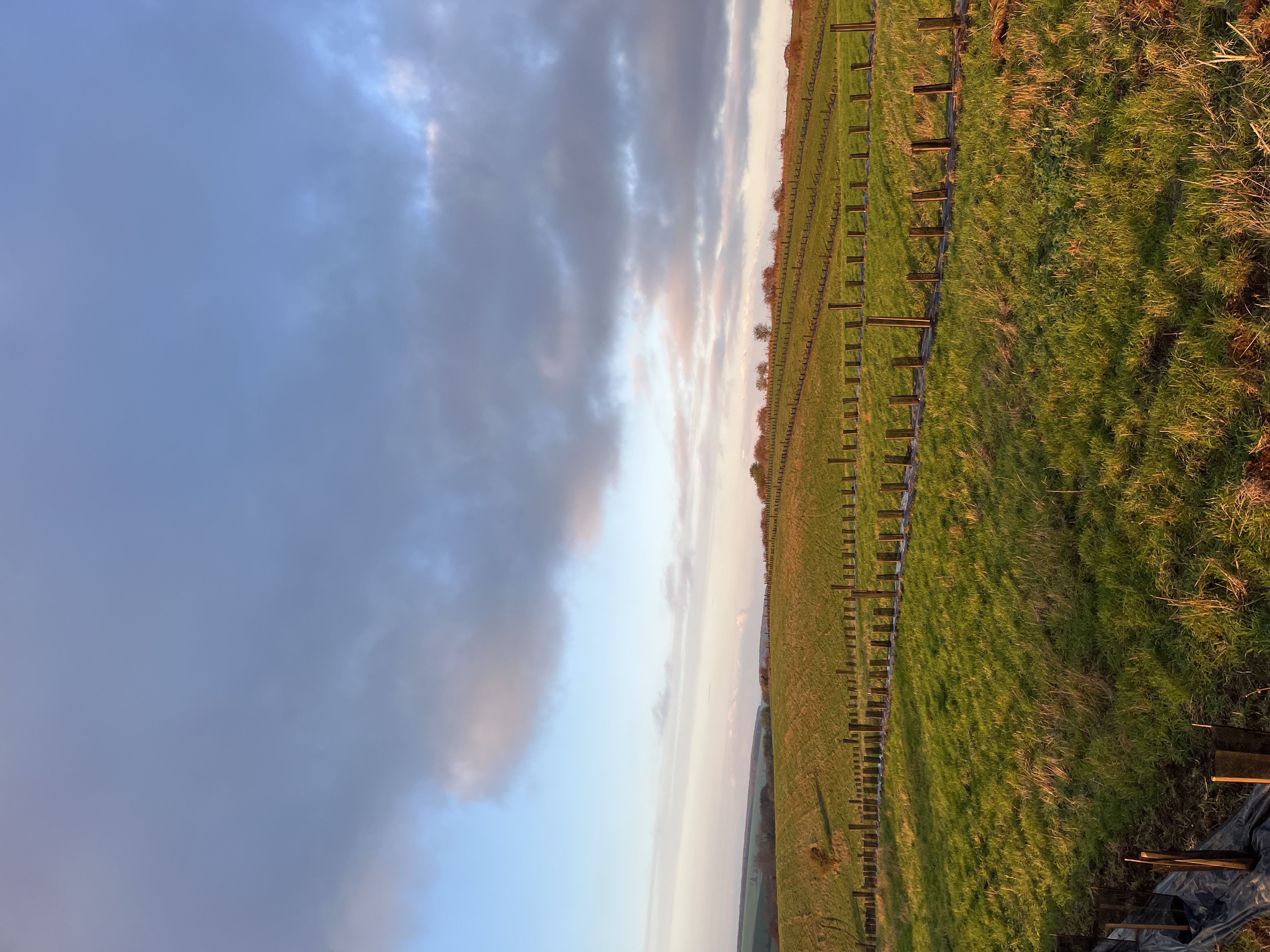 Photo de Après-midi découverte de l'exploitation