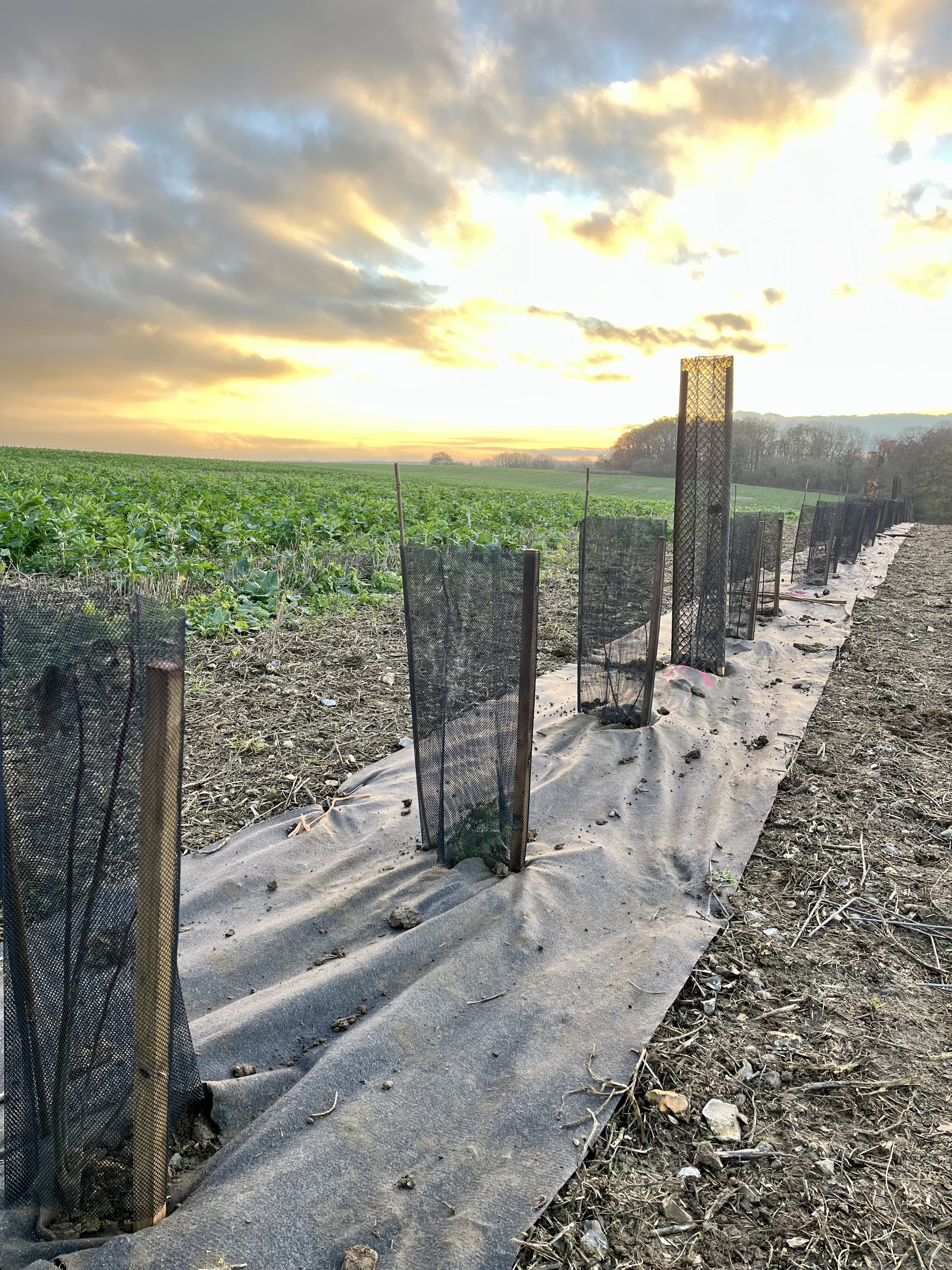 Illustration de l’expérience Formation en agriculture régénératrice 
