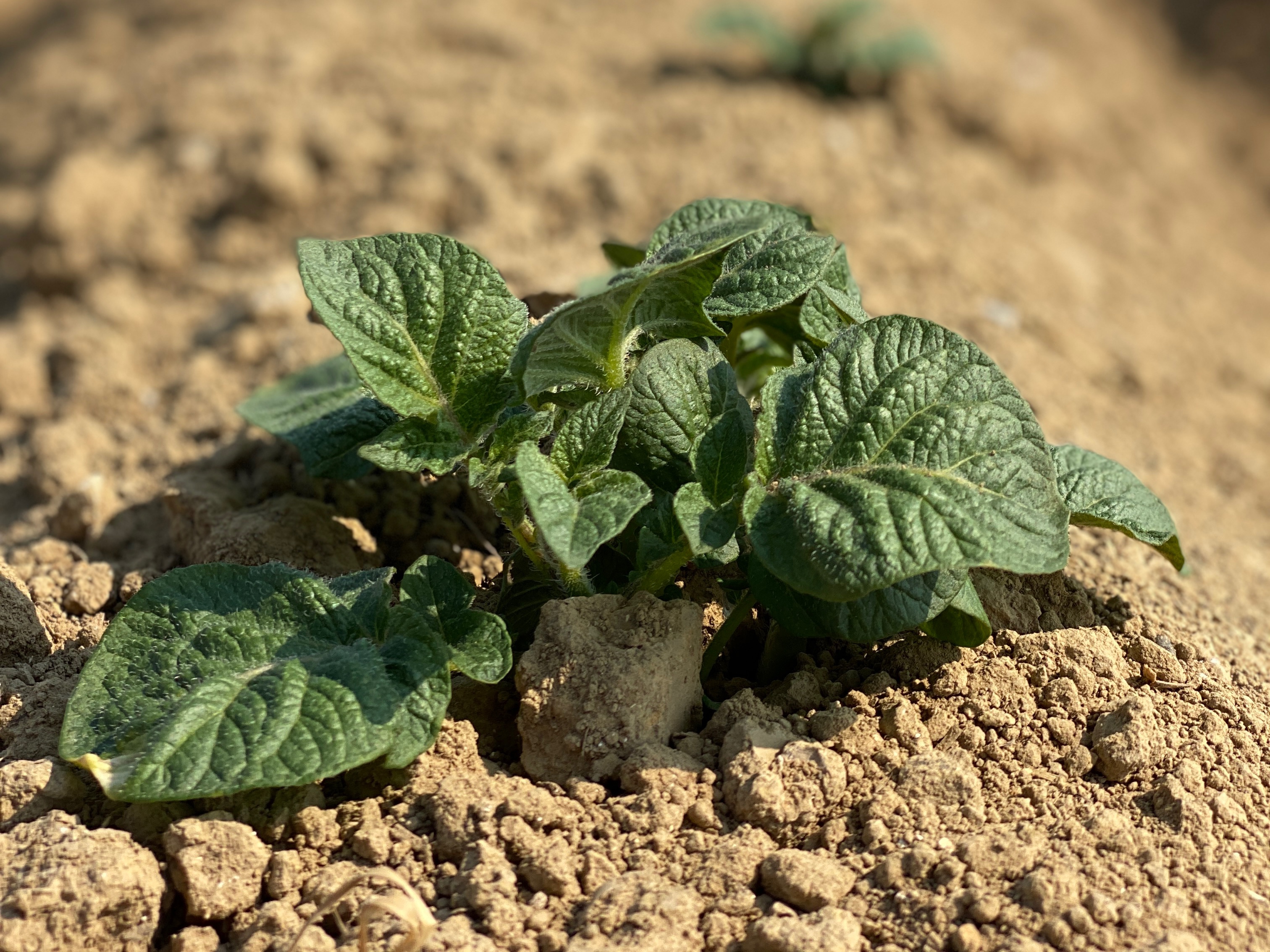 Photo de Ferme La Bellevue