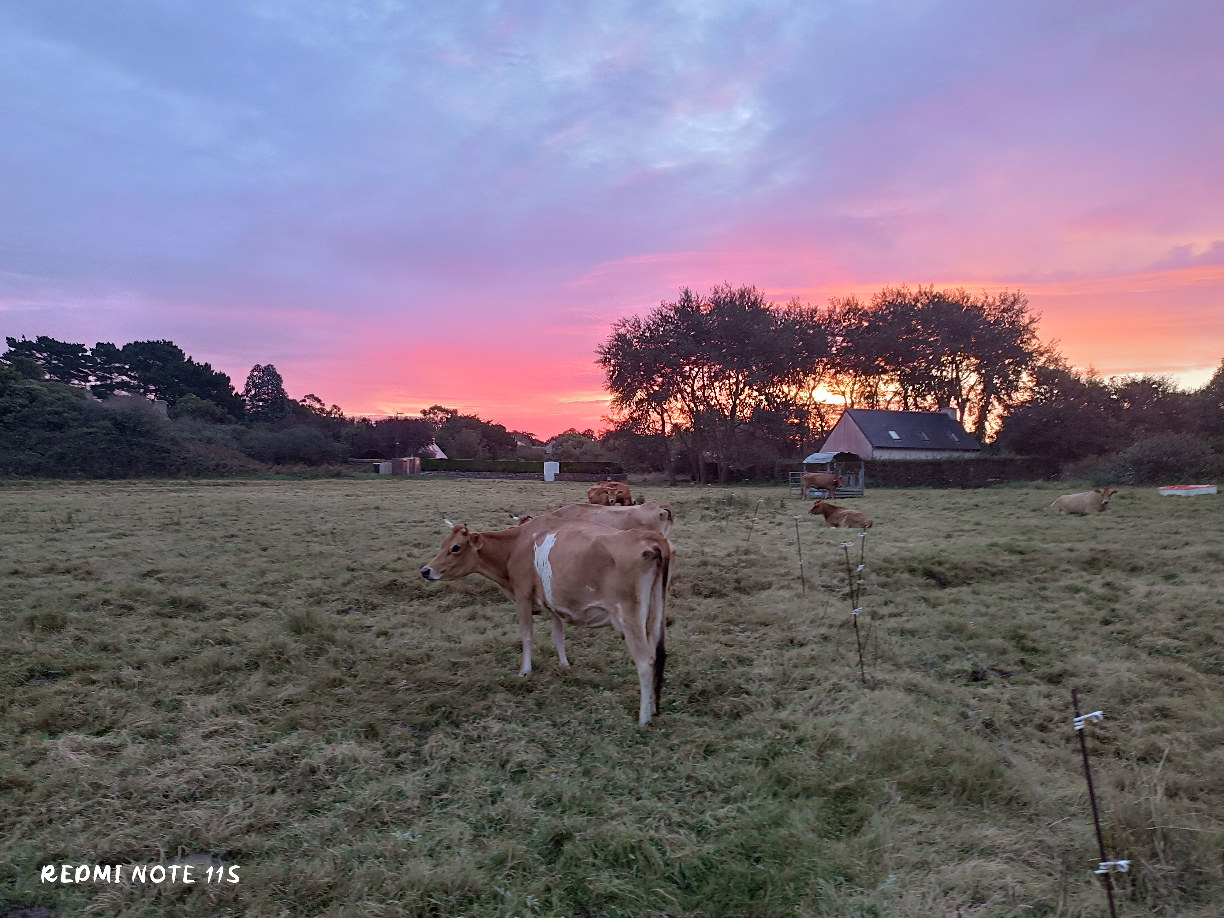 Illustration de l’exploitation Auffret