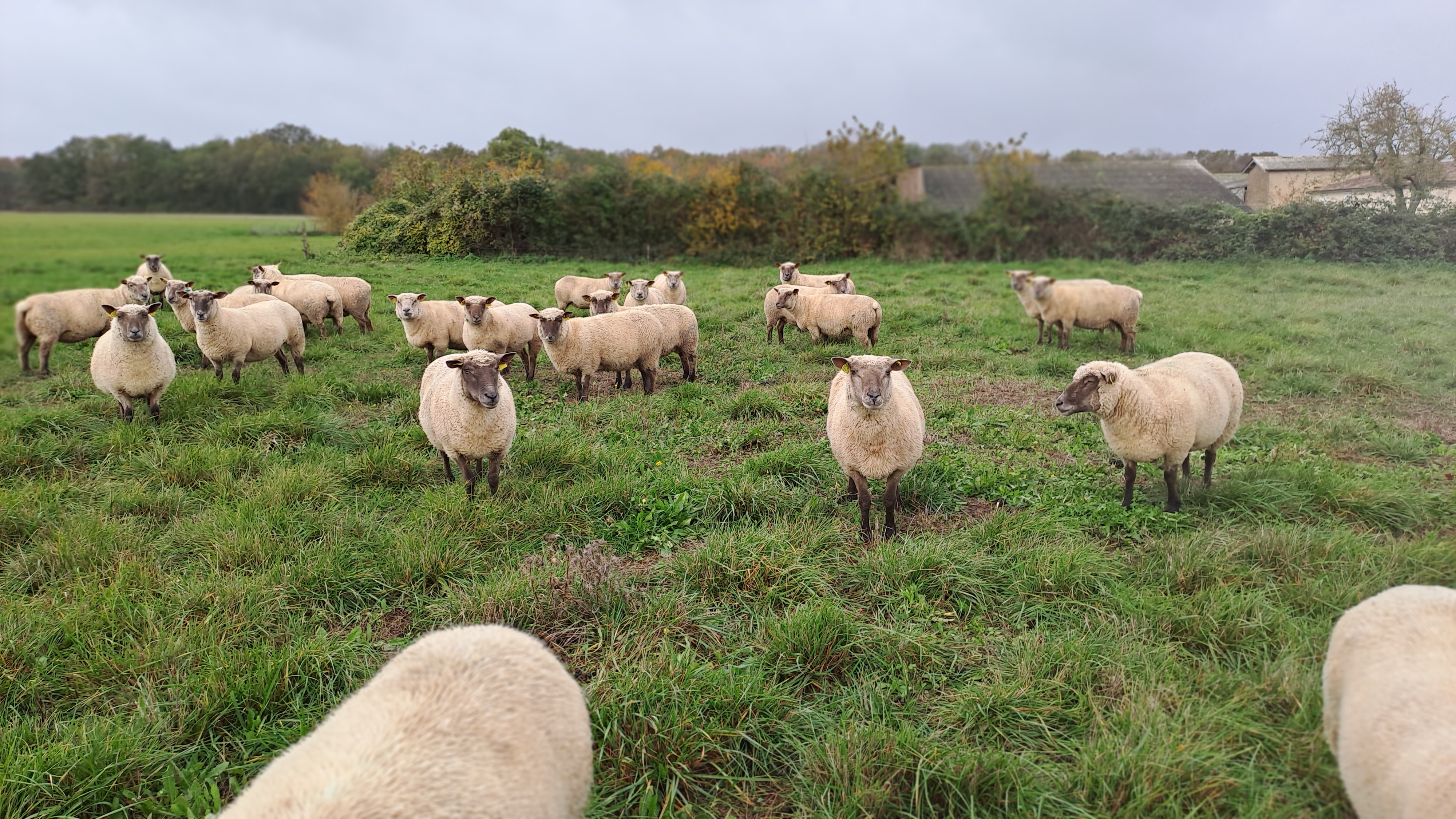 Illustration de l’exploitation Ei Camille Charles 