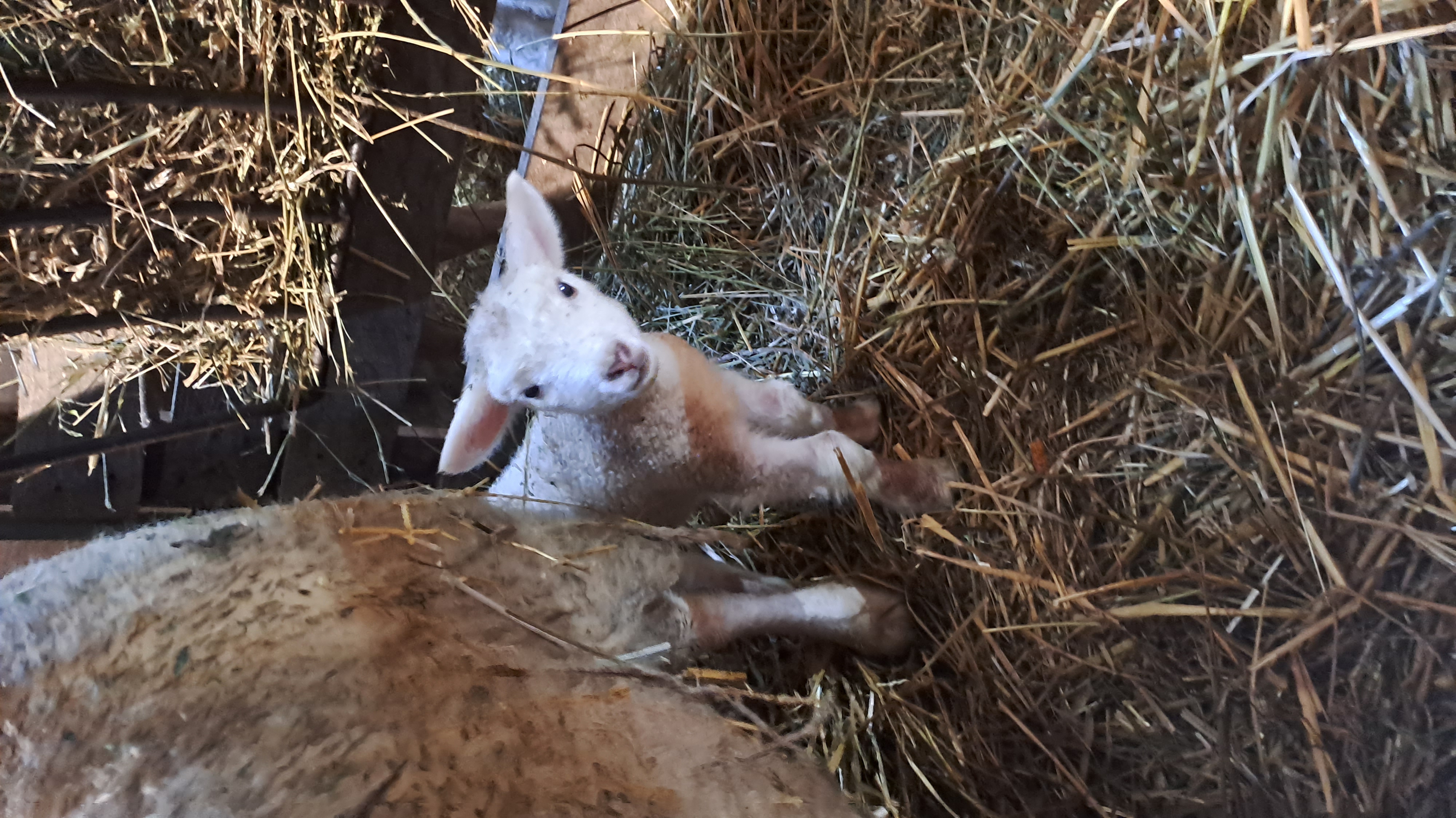 Photo de Ei Camille Charles 