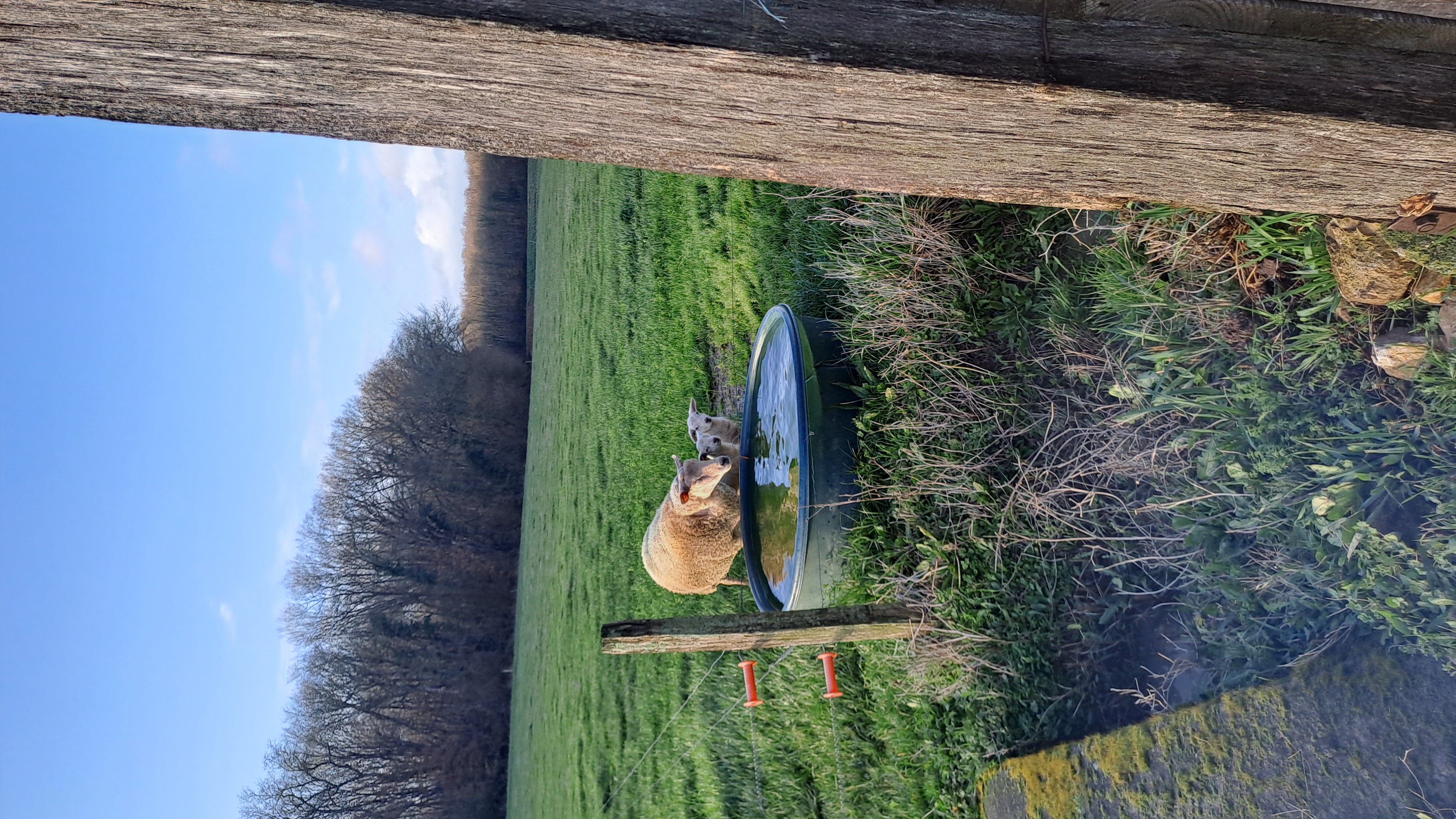 Photo de Visite de la ferme Camille Charles