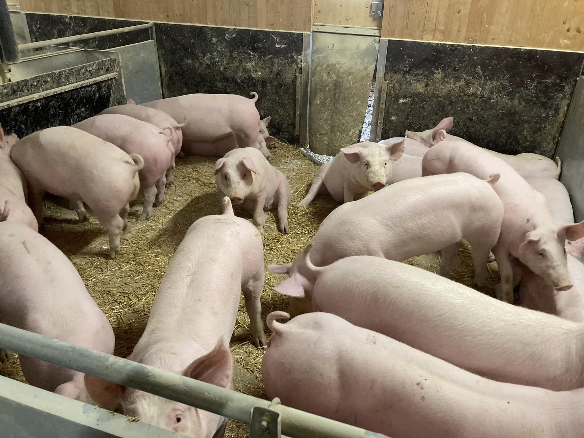 Photo de Ferme de Kermerrien