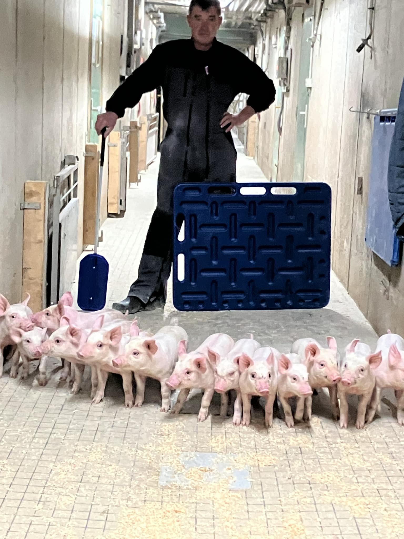 Photo de Ferme de Kermerrien