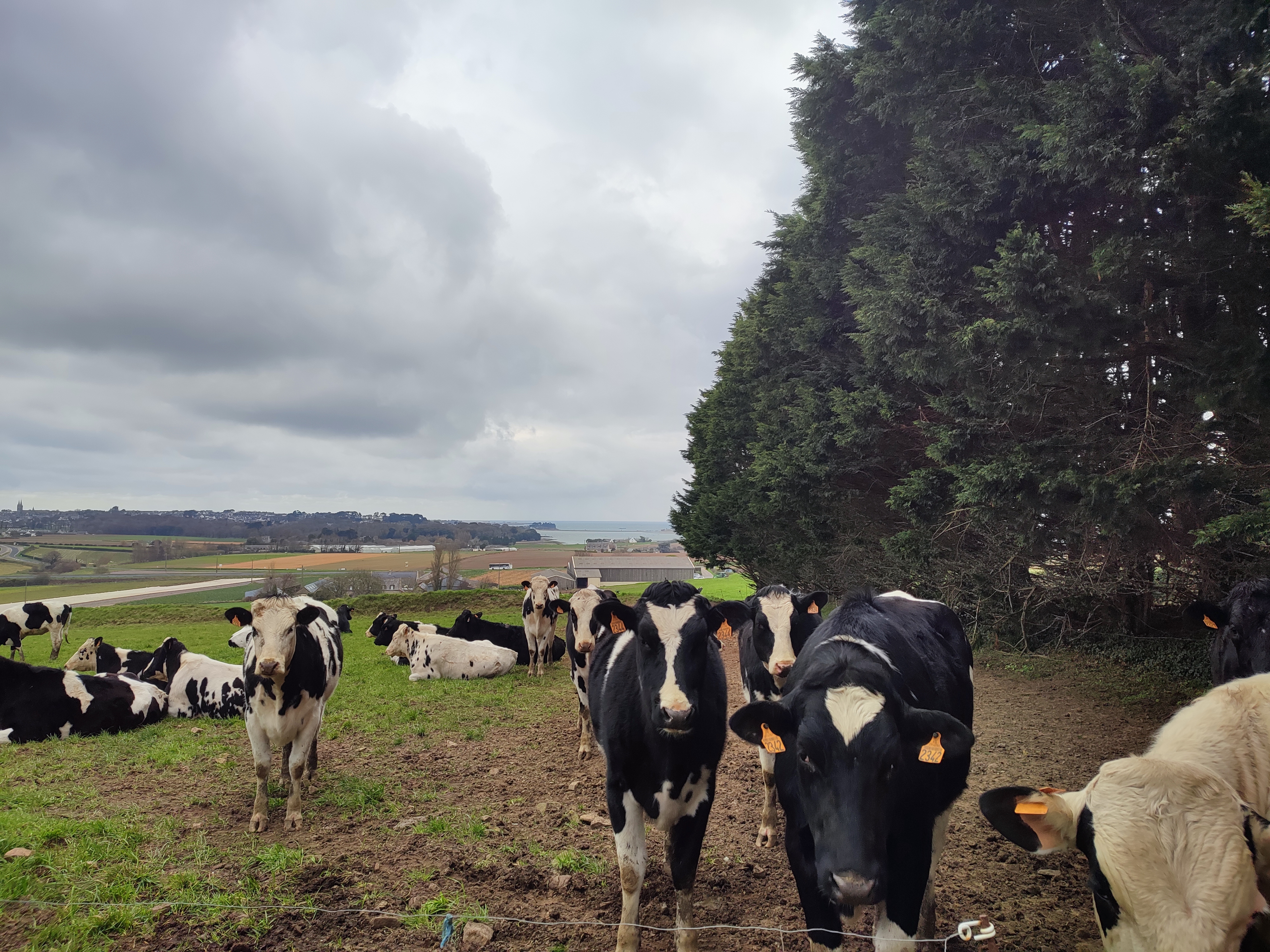 Illustration de l’exploitation EARL DE KERASPLAM