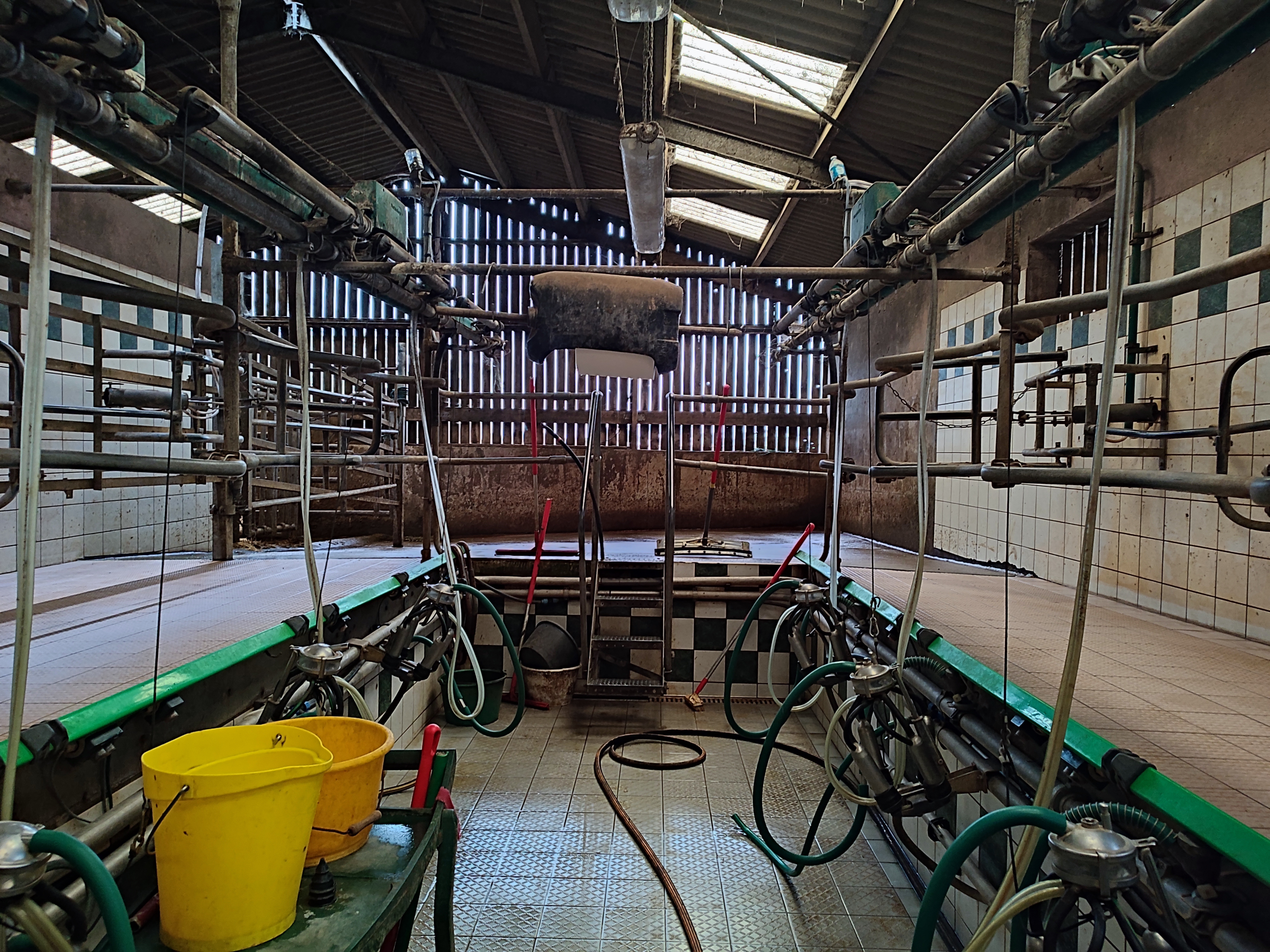 Illustration de l’expérience Traite des vaches