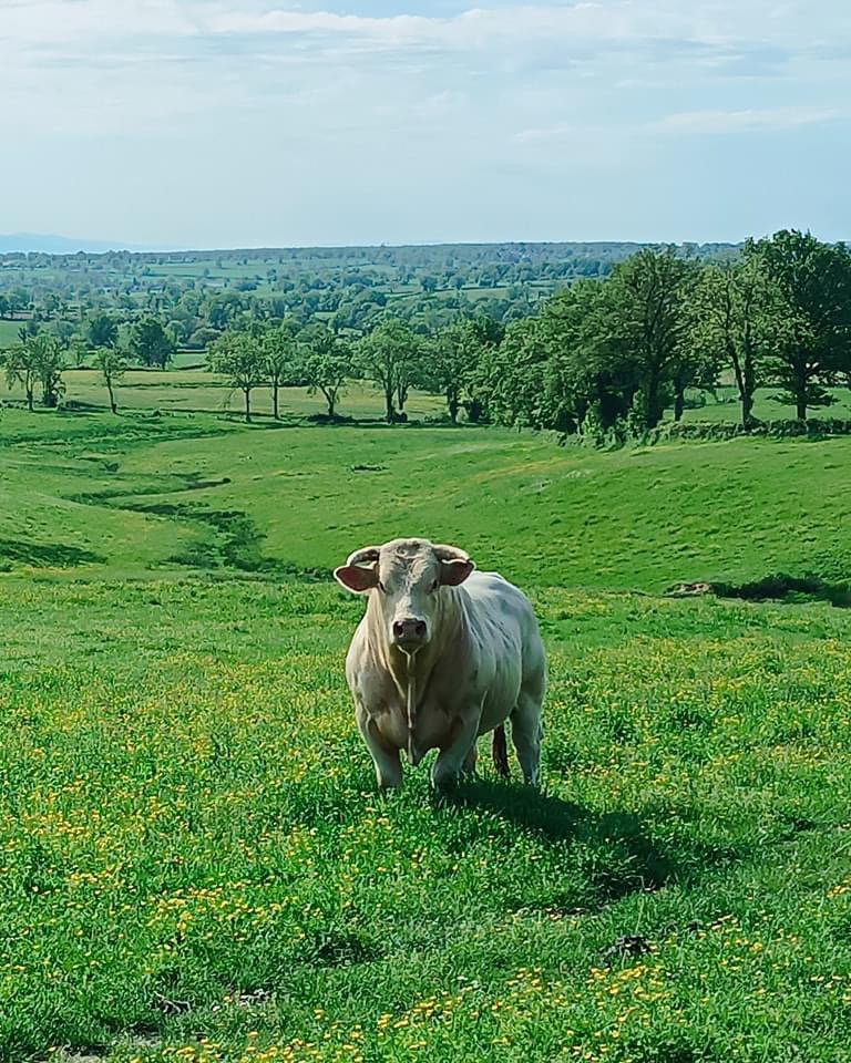 Photo de La Ferme du Tilloux