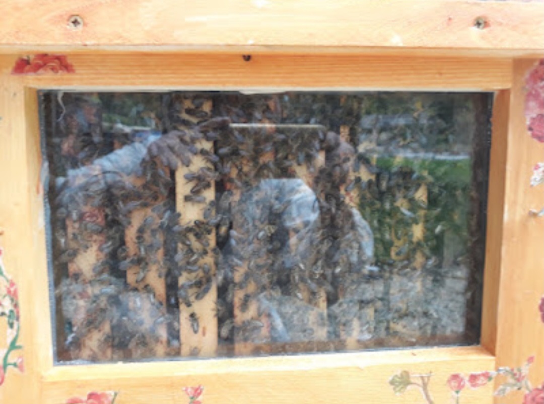 Illustration de l’expérience A la découverte du métier de l'apiculteur 