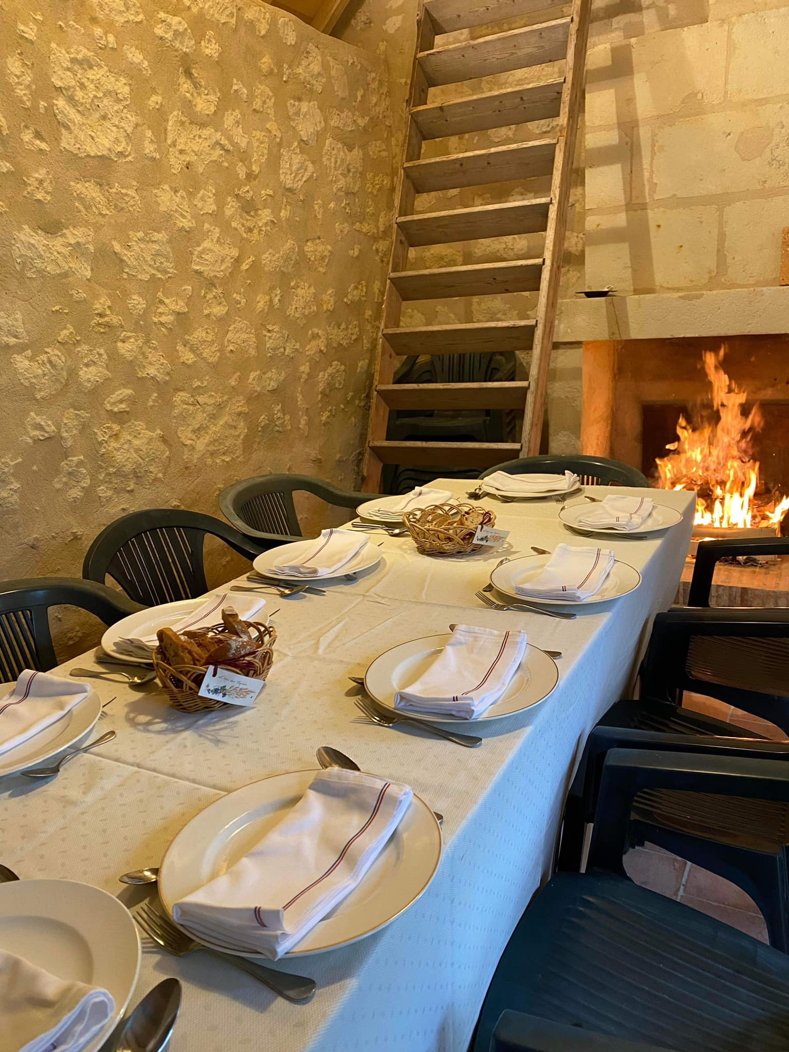 Photo de Immersion gourmande au cœur de la vigne