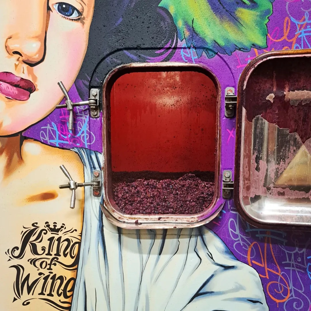 Photo de Visite de cave et dégustation