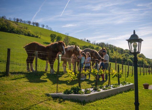 Photo de Gîte ARANTZETA
