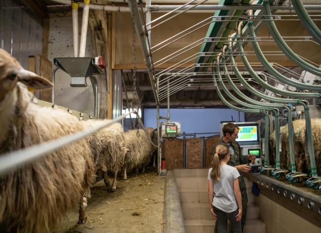 Photo de Gîte ARANTZETA