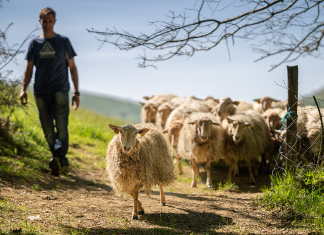 Photo de Gîte ARANTZETA