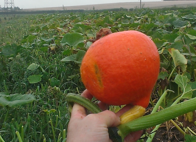 Photo de MAURICE DE POINCY