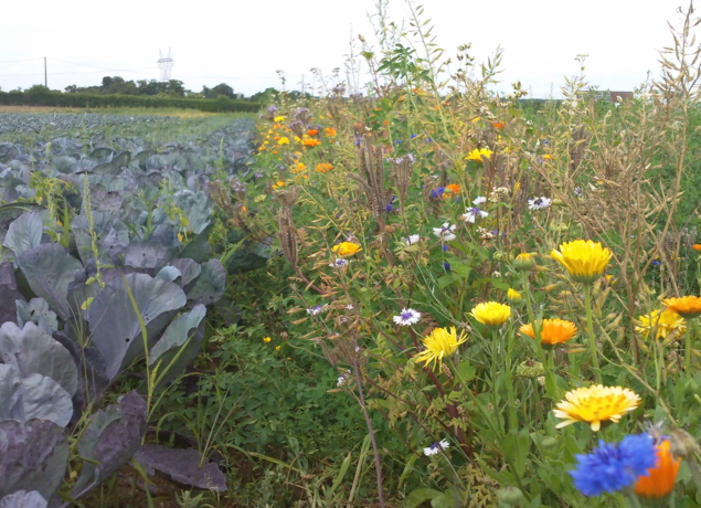 Photo de MAURICE DE POINCY