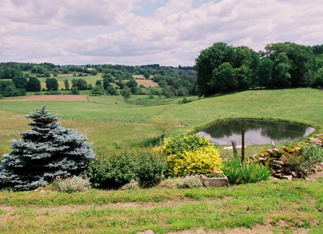 Photo de LA FERME DE LA BITARELLE - 