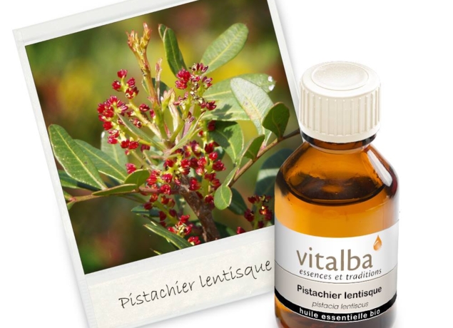 Illustration de l’exploitation VITALBA Distillerie  Listincu