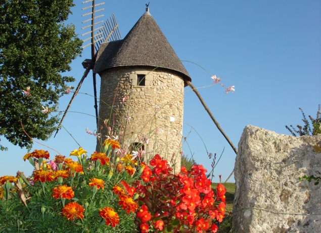 Photo de Domaine de la Chataignière