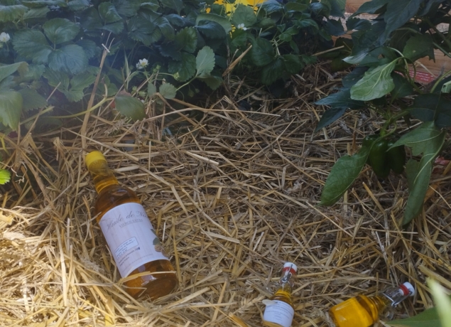 Photo de LES SERRE AU PRE - Thierry Massalve