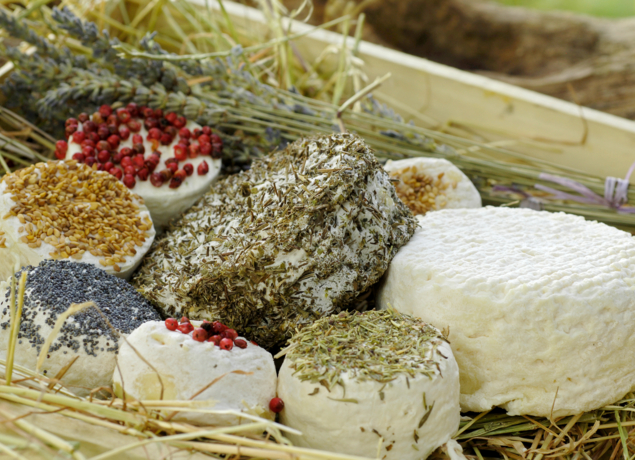 Photo de FERME DU BREGALON