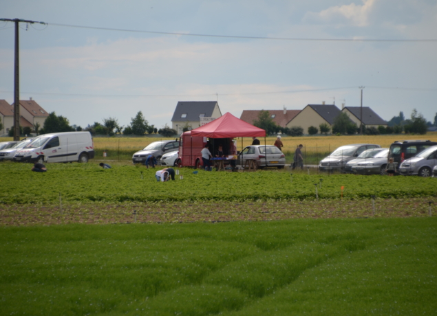 Illustration de l’exploitation Jardin Saint Martin
