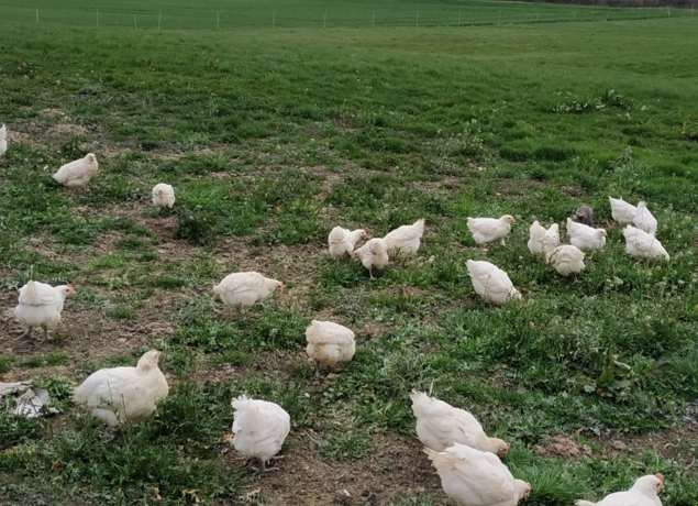 Photo de Ferme Auberge du Colombier