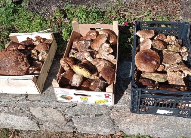 Illustration de l’exploitation LE CANTOU DU PONCET