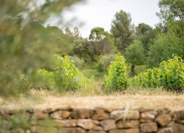 Photo de Domaine des Conquêtes