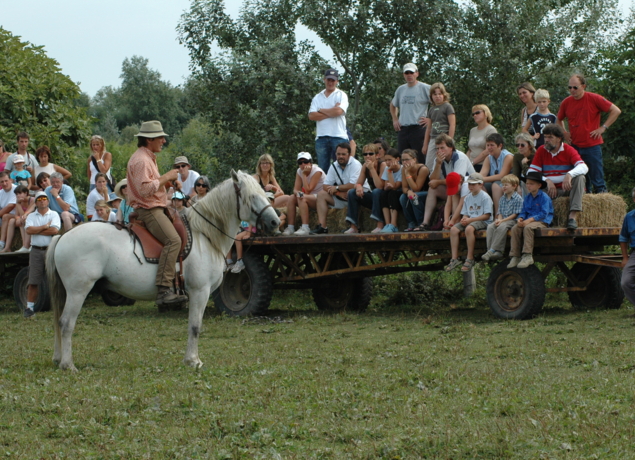 Illustration de l’exploitation Manade des Chanoines
