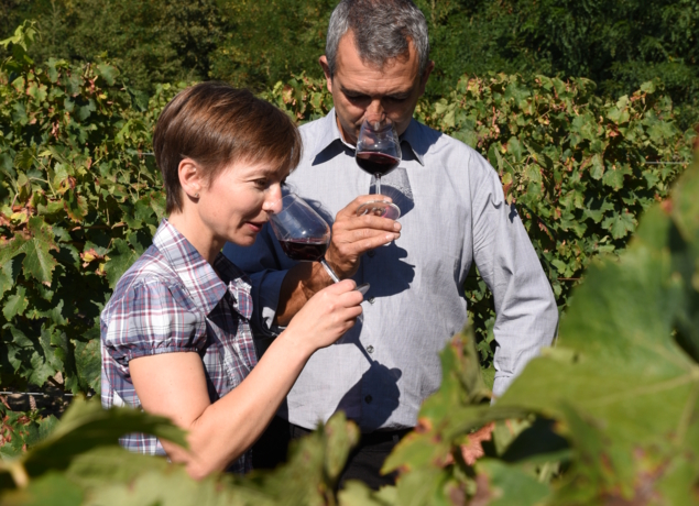 Photo de Cave Nathalie et David DRUSSÉ
