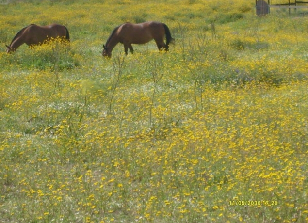 Photo de La Canardière