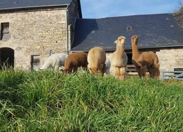 Illustration de l’exploitation LES ALPAGAS DES MONEDIERES - Marie Fraysse