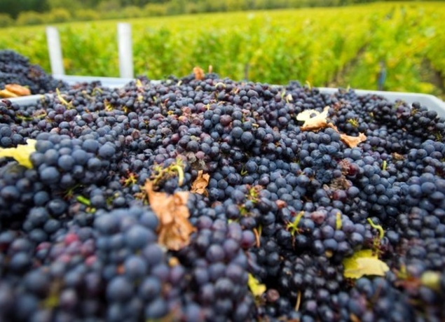 Photo de Domaine de la Goulotte