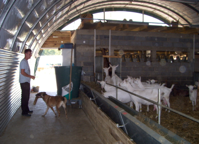 Photo de GAEC Domaine des Oliviers