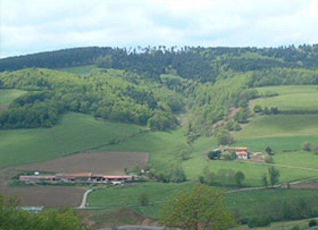 Illustration de l’exploitation GAEC La ferme du Berthou