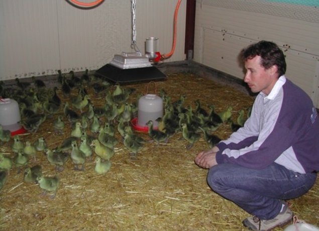 Photo de La Ferme des Champarts